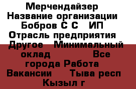 Мерчендайзер › Название организации ­ Бобров С.С., ИП › Отрасль предприятия ­ Другое › Минимальный оклад ­ 17 000 - Все города Работа » Вакансии   . Тыва респ.,Кызыл г.